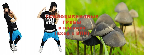 PSILOCYBIN Горнозаводск