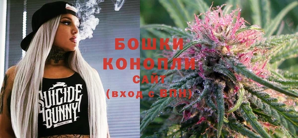 не бодяженный Горно-Алтайск