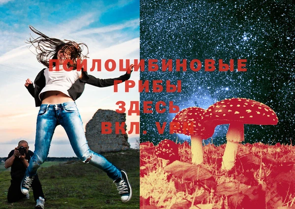 тгк Красноперекопск