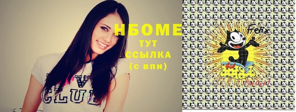 не бодяженный Горно-Алтайск