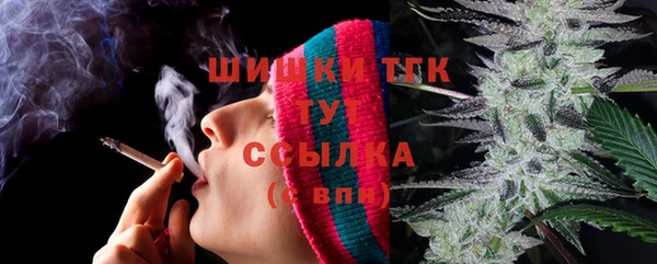 PSILOCYBIN Горнозаводск