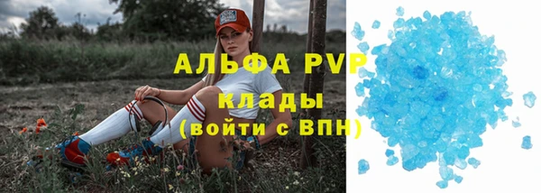 PSILOCYBIN Горнозаводск